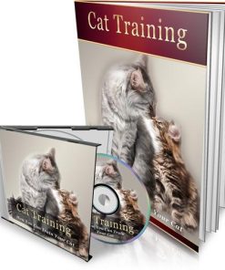 Cat Training
