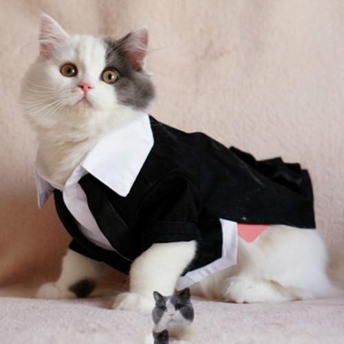Cats Tuxedo Formal Clothes - Image 4