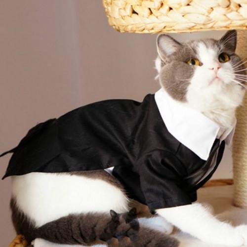 Cats Tuxedo Formal Clothes - Image 5