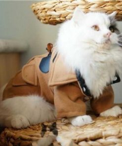 Woolen Jacket Trench Coat Winter Pet Clothes
