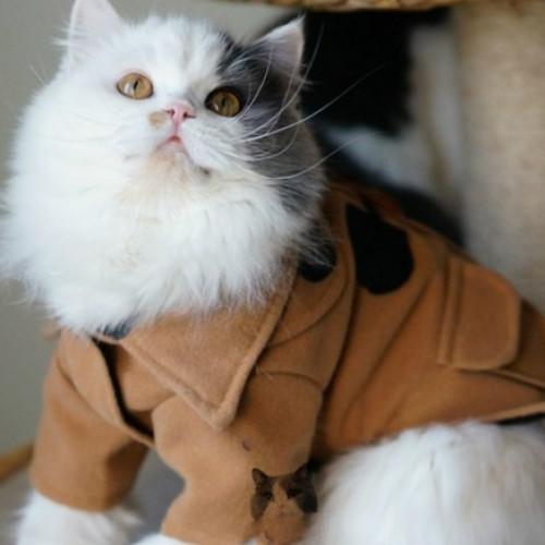 Woolen Jacket Trench Coat Winter Pet Clothes - Image 2