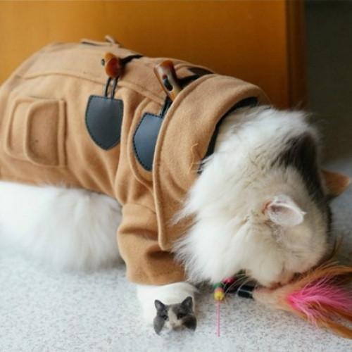 Woolen Jacket Trench Coat Winter Pet Clothes - Image 3