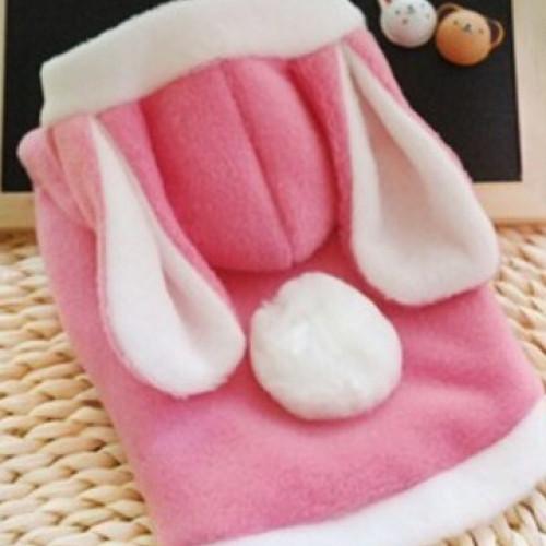 Spring and Winter Cosplay Pet Costume - Image 4