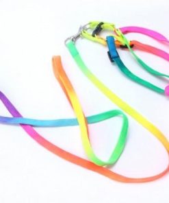 Small Pet Harness Nylon Collar