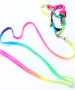 Alternative view of Small Pet Harness Nylon Collar